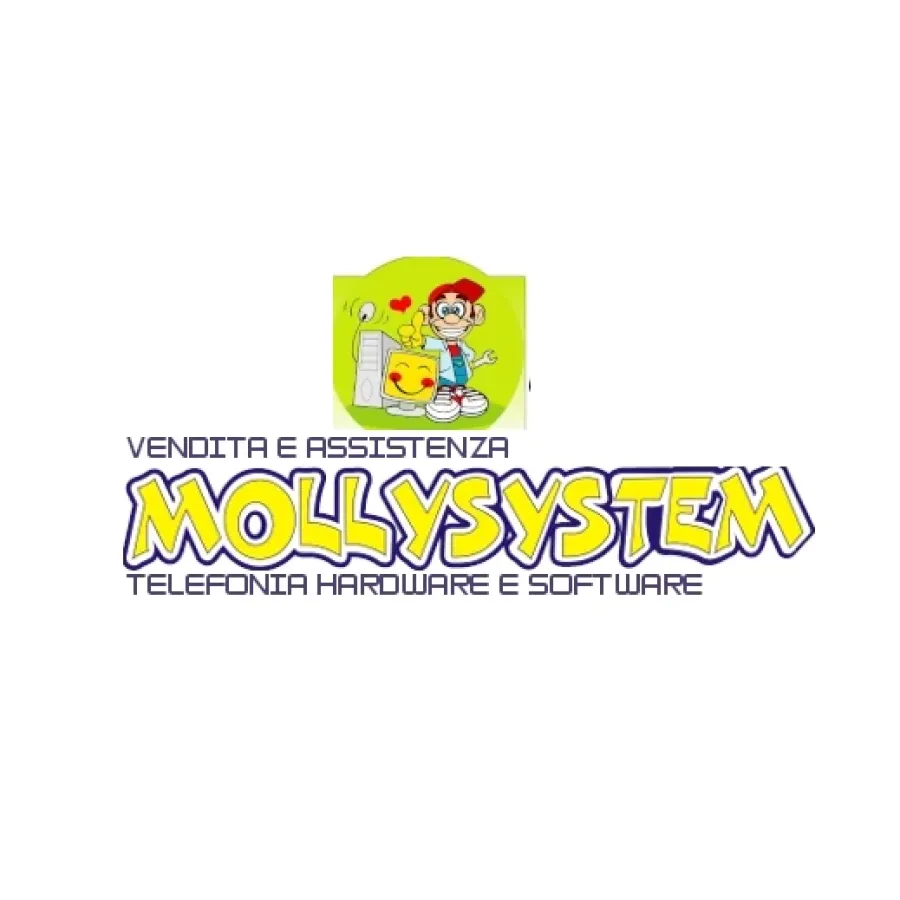 Molly System Realizzazione sito internet di presentazione di un centro assistenza per la telefonia e l'elettronica